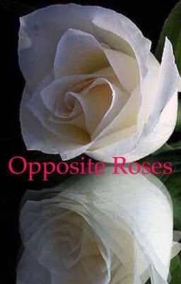 Opposite Roses