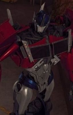 [Optimus Prime TFP x reader] 𝗕𝗶́ 𝗺𝗮̣̂𝘁 - 𝗕𝗮̣̂𝘁 𝗺𝗶́ 