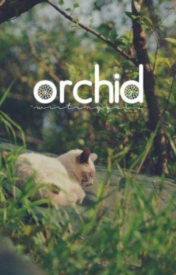 orchid | | a short warriors story