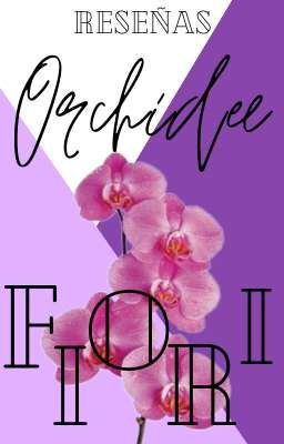 Orchidee