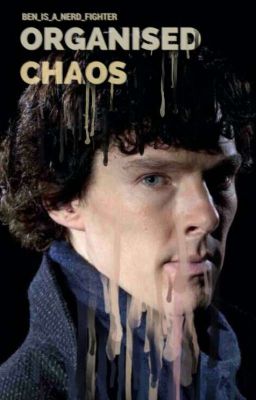 Organised Chaos - Sherlock x Reader