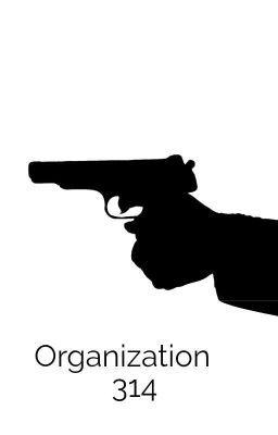 Organization 314