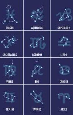 Organization Zodiac