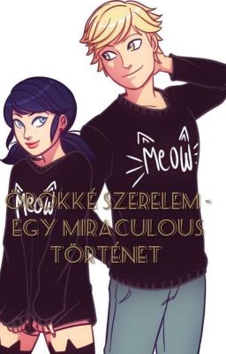 Örökké szerelem - Egy Miraculous Történet