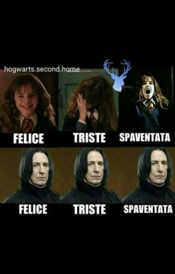 Oroscopo e test harry potter 