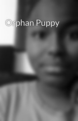 Orphan Puppy