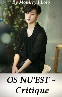 OS nu'est : Critique