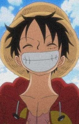 [OS One Piece] Tựa Như Dương Quang.