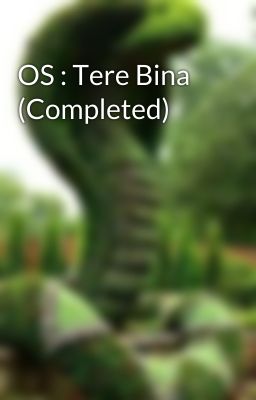 OS : Tere Bina (Completed)