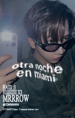 otra noche en miami ✹ ddingdongz