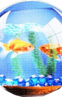 Our Endless Summer | KaiSagi/KaiIsa/KiIs/kiis