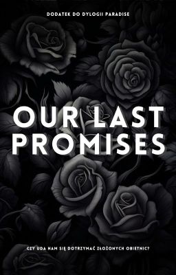 Our Last Promises