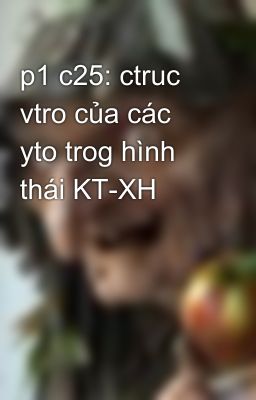 p1 c25: ctruc vtro của các yto trog hình thái KT-XH