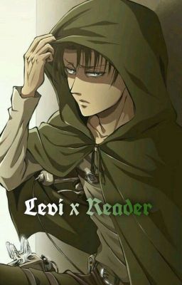 Pain / Levi X Reader