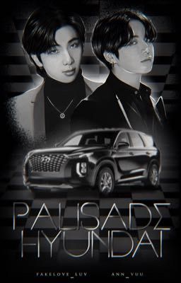 Palisade Hyundai - namkook