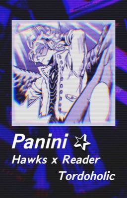 panini | ☆ | hawks x reader