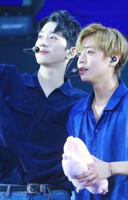 [PanWink] Ngắm sao cùng anh nhé 