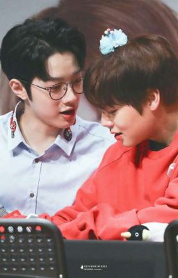 [PanWink]  •Sweet•