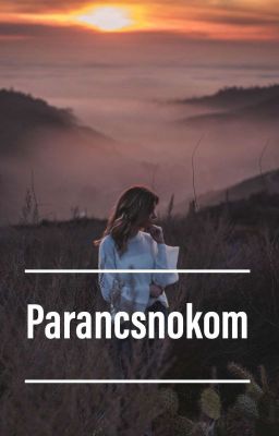 Parancsnokom (Befejezett)