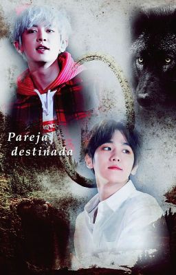 Pareja Destinada (Chanbaek/Baekyeol)