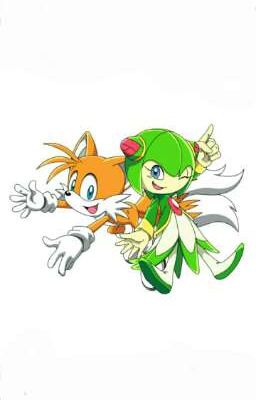 Parejas De Sonic