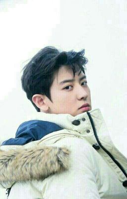 Park Chanyeol •°•