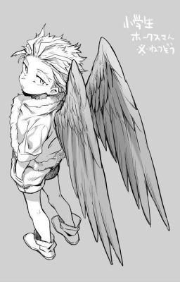 Part of the flock (A Mha / Maximum Ride crossover Oneshot)