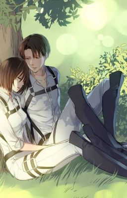 Partners (Levi x mikasa)