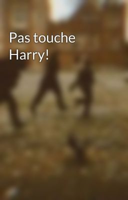 Pas touche Harry!