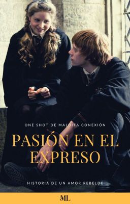 Pasión en el Expreso ~ ONE SHOT Maldita Conexión