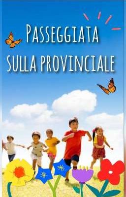 Passeggiata sulla provinciale 