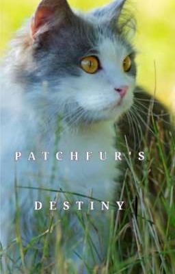 PATCHFUR'S DESTINY COLLAB