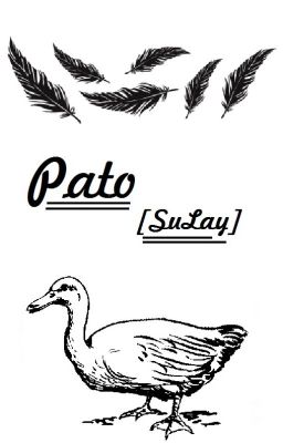 Pato [SuLay]