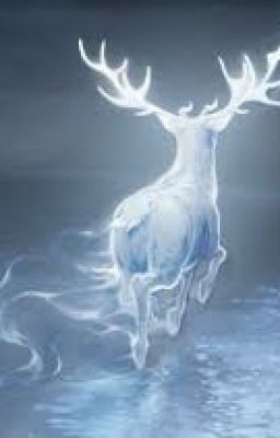 Patronus [Drarry - short story]