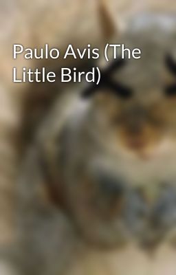 Paulo Avis (The Little Bird)