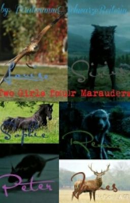 {PAUSIERT} Two Girls fo(u)r Marauders' (Hp FF)(Rumtreiberzeit)