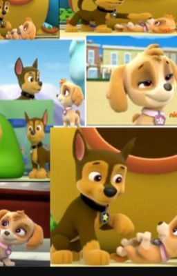 Paw patrol: El amor de los cachorros (episodeo 3)