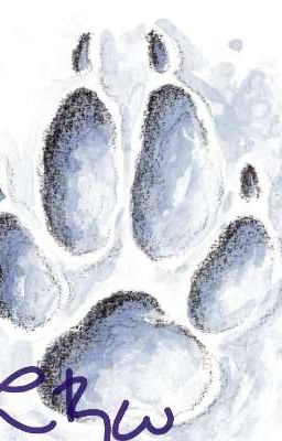 Paw-prints 