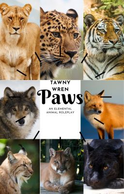 Paws- an Elemental Animal RolePlay