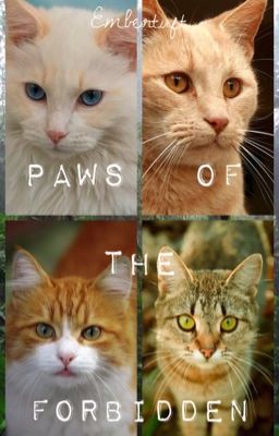 / /paws of the forbidden {a warriors fanfic}\\