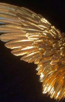 [ PayCheck ]: Feather_