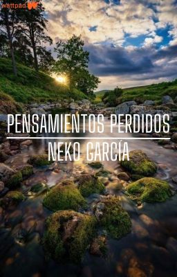 Pensamientos Perdidos