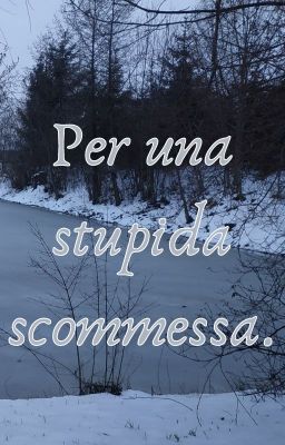 Per una stupida scommessa.