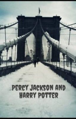 Percy Jackson and Harry  Potter