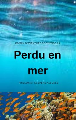 Perdu en mer