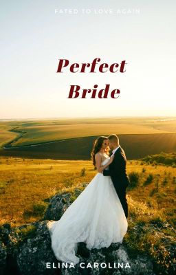 Perfect Bride