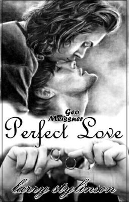 Perfect Love || Larry Stylinson ✔