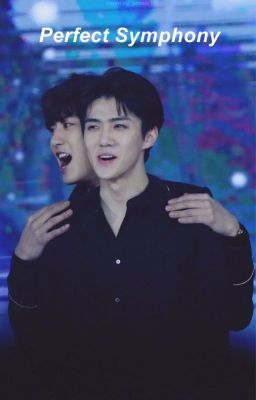 Perfect Symphony | ChanHun