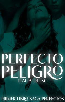 Perfecto Peligro [PERFECTOS 1] ©