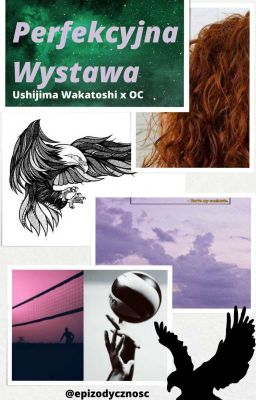 Perfekcyjna Wystawa || Ushijima Wakatoshi x OC ||